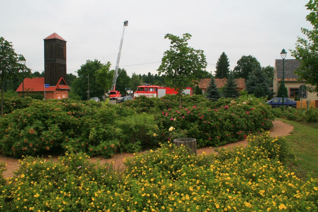 Wüstenhainer Treckertreffen 2009_43.jpg